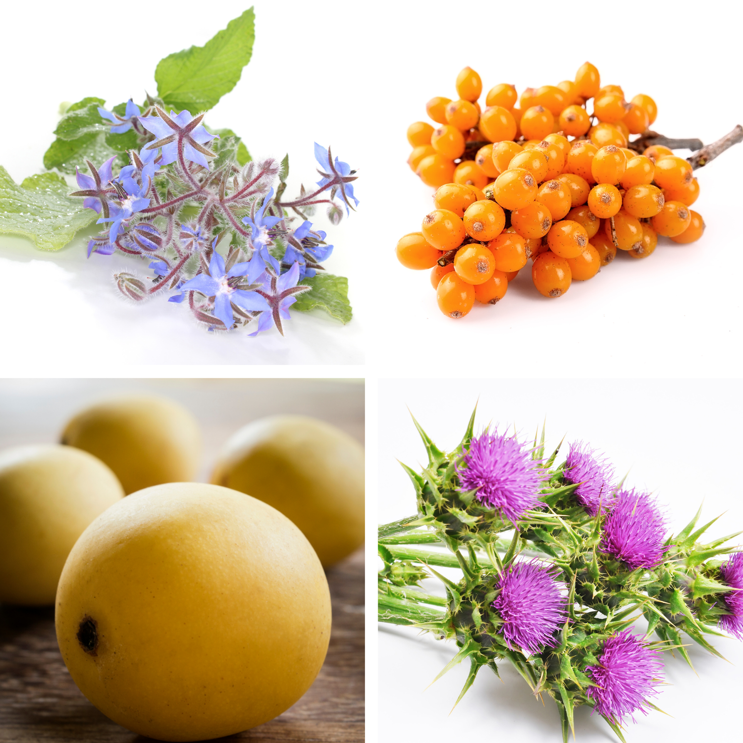 Nourishing Face Oil — No.19 Products